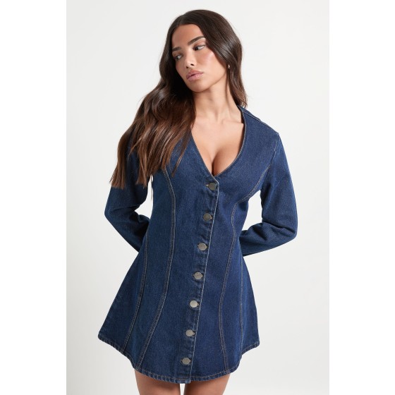 Petite Flare Long Sleeve Mini Dress