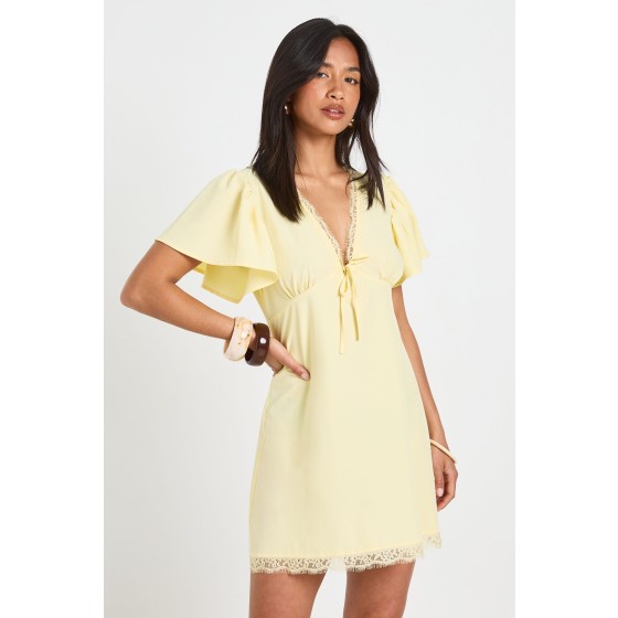 Petite Lace Trim Mini Dress